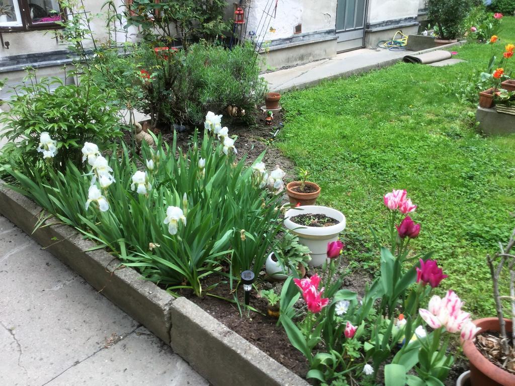Ajo Central Vienna Luaran gambar